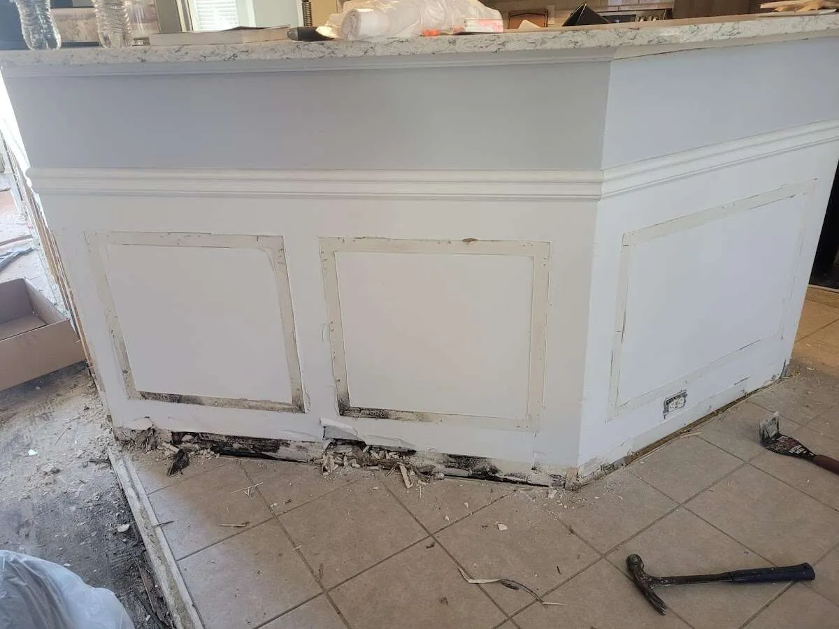 Water damage and mold on kitchen during Sewage Cleanup & Sanitation in Vancleave